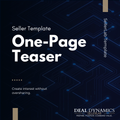 Seller Teaser Template: Business One-Pager Summary