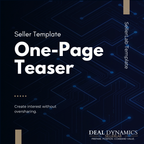 Seller Teaser Template: Business One-Pager Summary