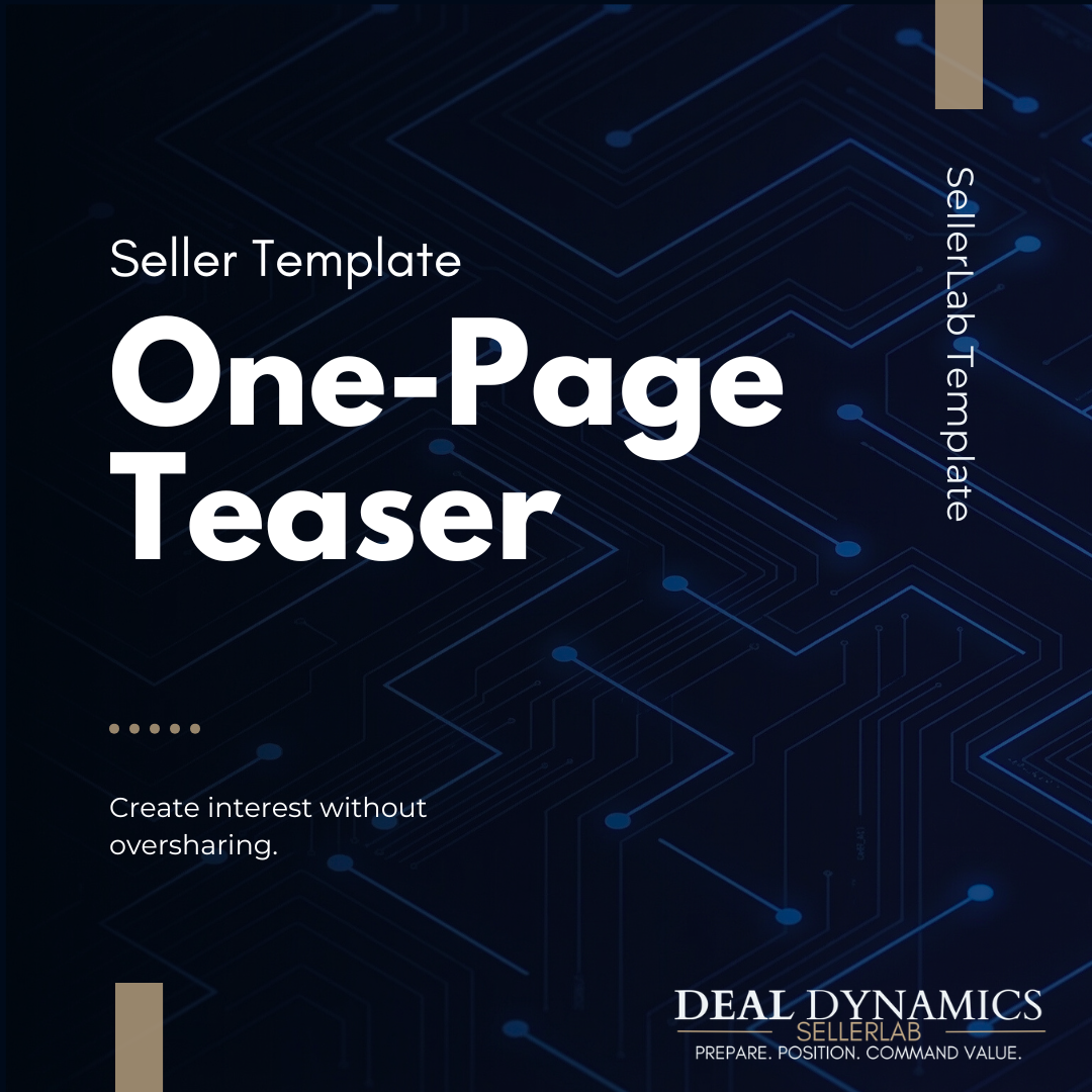 Seller Teaser Template: Business One-Pager Summary